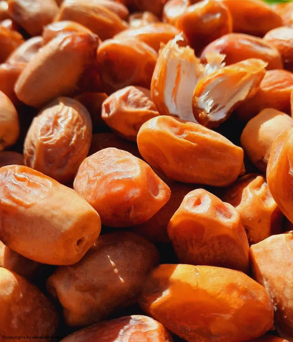 خرمای زاهدی